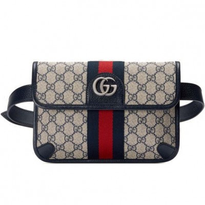 G*C*I OPHIDIA BELT BAG  ‎674081 （22*17*3.5cm） 3855